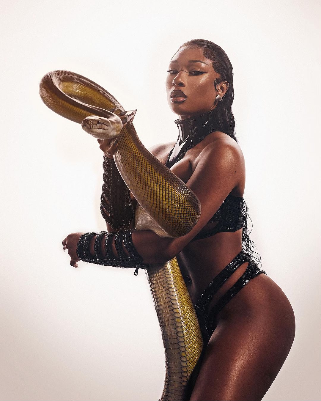 Analyse profonde du nouveau titre de Megan thee Stallion, Cobra